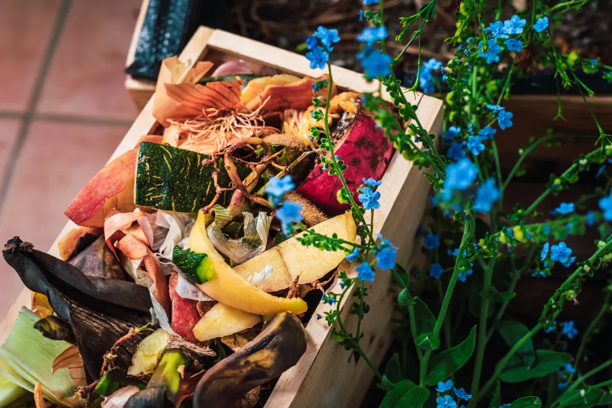 Turning Kitchen Scraps Into Garden Gold